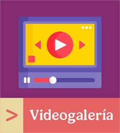 Videogaleria